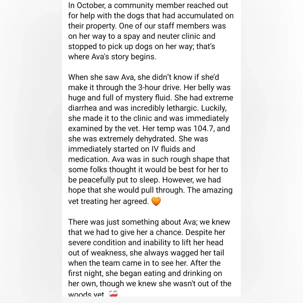 Us🤠🐶🔨 - Picture 9 of 16